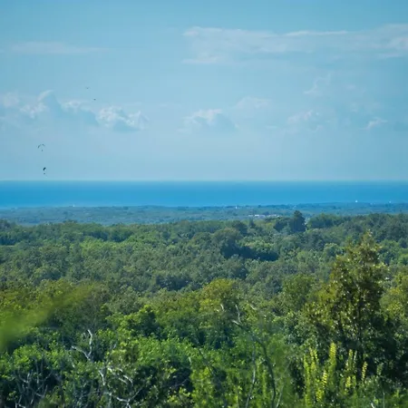 Nona Nina Apartman Vižinada